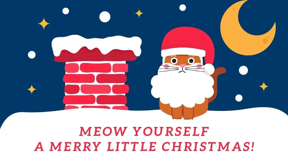100+ Funny Christmas Wishes, Quotes, and Greetings 2023
